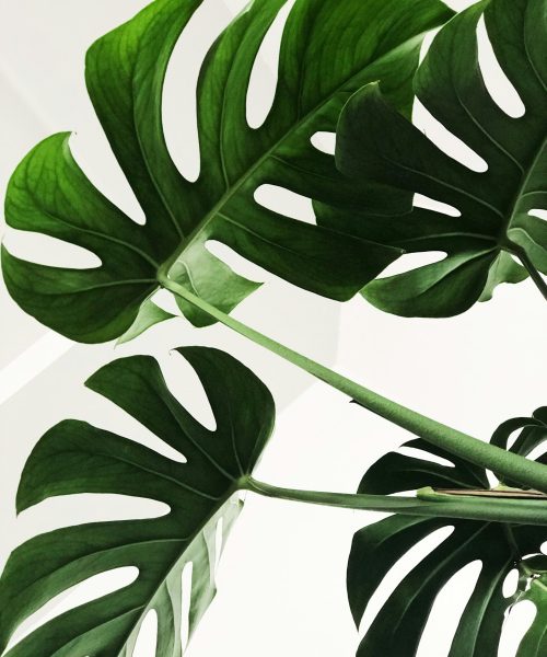 chris-lee-70l1tDAI6rM-unsplash