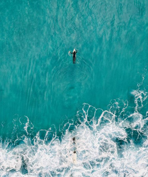 kiril-dobrev-b1spfKX5xz0-unsplash